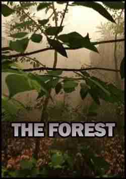 Descargar The Forest [English][EARLY ACESS][P2P] por Torrent